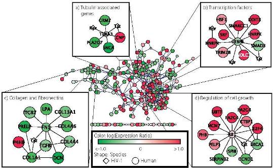 Study of Pathogens